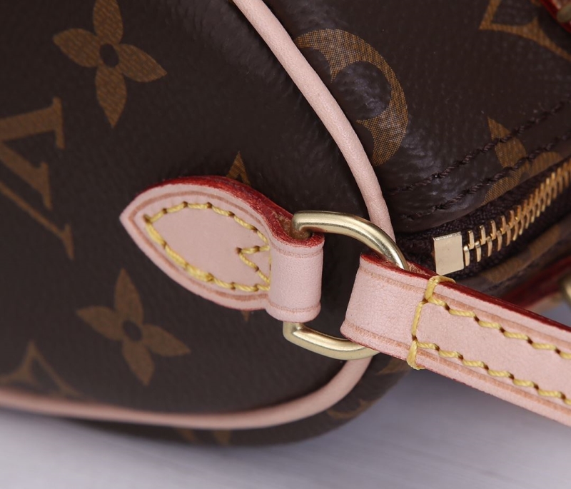 LV Speedy Bags